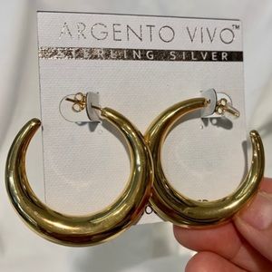 Argento Vivo Hoop Gold Earrings